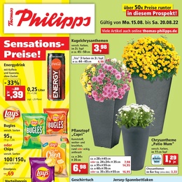 Thomas Philipps Prospekt - Angebote ab 15.08.