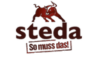 Steda Logo