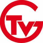 TV Großsachsenheim Logo